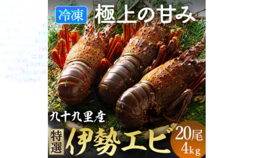 伊勢海老 活け〆リキッド冷凍 刺身用 20尾 約4kg 九十九里 新鮮 刺し身 刺身 さしみ 伊勢 海老 真空 冷凍  旨味 甘み 鮮度 美味しい 贅沢 ご褒美 豪華 ギフト プレゼント 贈答  贈答用 記念日 家
