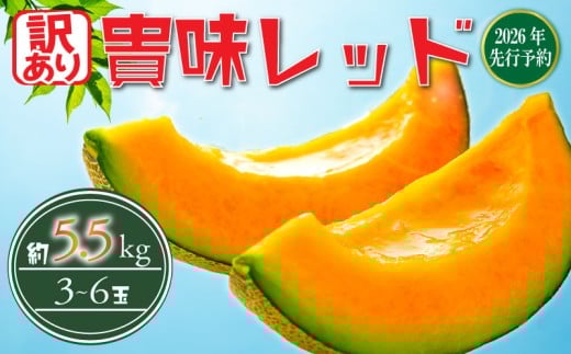 y 2026 Nz< 󂠂  > s\  ԓ M bh 5.5kg ȏ (2`6L) (3`6) ߂ melon ^J~ W[V x   lC { ʕ  t[c 蕨 M