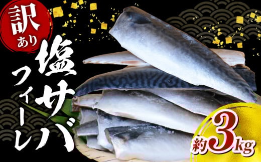 塩 サバ フィーレ 【 訳あり 】 約 3kg < 最短7営業日以内発送 > 塩サバ 鯖 さば 塩さば 塩鯖 人気 ボリューム 魚介 冷凍 訳有り グルメ おかず 惣菜 弁当 切身 便利 簡単 海鮮 鮮魚  千葉県 旭