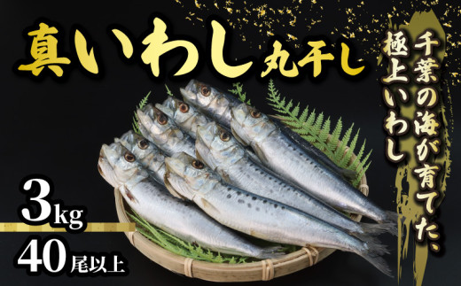 \最短7営業日以内発送/ いわし 丸干し 約 3kg 40尾以上 国産 千葉県産 真いわし 真鰯 イワシ スピード発送 冷凍 鰯 簡単調理 手軽 料理 和食 おすすめ ご飯 の お供 おかず 惣菜 お弁当 おつ