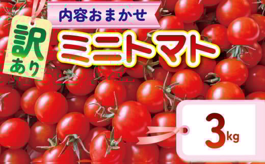 【訳あり】 品種おまかせ ミニトマト (2種以上) 約 3kg とまと トマト ミニトマト みにとまと 完熟 期間限定 冷蔵 常温 プチ プチトマト 野菜 サラダ 産地直送 新鮮 国産 千葉県産 美容 健康 厳