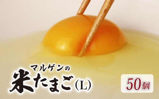 マルゲンの米たまご Lサイズ 50個 卵 たまご 鶏卵 にわとり 新鮮 こだわり 朝食 昼食 夕食 目玉焼き 卵焼き 玉子焼き たまご焼き 卵かけご飯 たまごかけご飯 オムレツ ゆで卵 卵料理 生卵 国