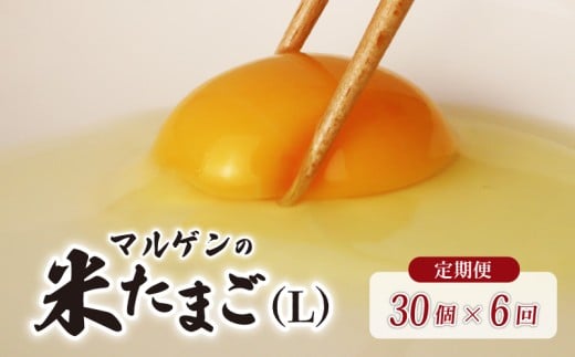【 定期便 6回 】マルゲンの米たまご Lサイズ 30個 卵 たまご 鶏卵 にわとり 新鮮 こだわり 朝食 昼食 夕食 目玉焼き 卵焼き 玉子焼き たまご焼き 卵かけご飯 たまごかけご飯 オムレツ ゆで卵