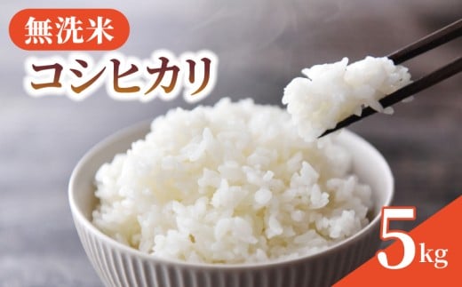 無洗米 米 コシヒカリ 5kg 令和7年産 新米 精米 白米 2025 7年産 お米 ご飯 無洗 むせんまい こめ コメ kome おこめ ごはん ライス こしひかり 家庭用 備蓄 防災 お弁当 産地直送  国産 千葉県産 ふ