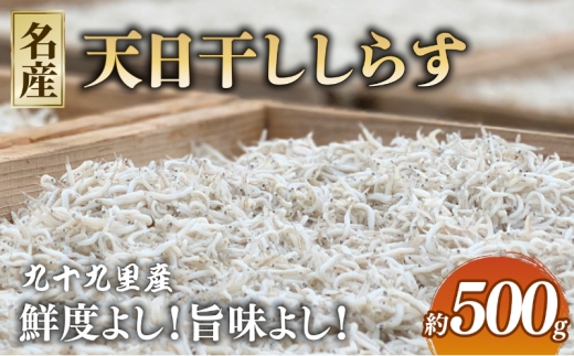 V 炷 500g (250gx2P) 炷 VX V炷 炷 VX C̍K  芘@    N CN Hi 1kg lC   tsY Ⓚ  Mtg v