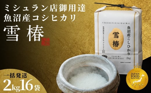 米 32kg ( 2kg × 16袋 ) 令和7年産 新米 最高級 魚沼産 コシヒカリ 雪椿 特別栽培米 一括発送 | 小分け こしひかり お米 おこめ こめ コメ 白米 精米 新潟県 津南町新潟県津南町170000米・パン白米