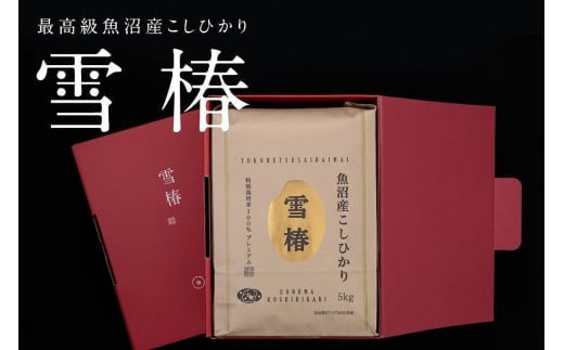 【2025年産新米】【化粧箱入り】最高級魚沼産コシヒカリ「雪椿」5kg (5kg×1袋)  特別栽培米新潟県津南町32000米・パン白米