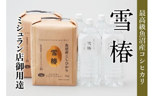 y ̋Zbg z ō Y RVqJ  10kg ( 5kg × 2 ) { ̓VR  8L ( 2L× 4{ ) |  ʍ͔|  VR V Ó쒬VÓ쒬62000āEp