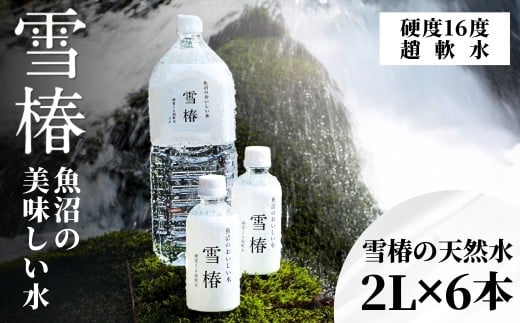 水 2L×6本 雪椿の天然水 津南 国産 | 天然水 みず 飲料 飲料水 ミネラルウォーター 軟水 備蓄 備蓄用 備蓄水 防災 防災用 アウトドア キャンプ プレゼント ギフト 新潟県 津南町新潟県津南町80