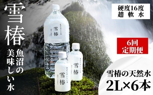 【 定期便 6ヶ月 】 水 ( 2L × 6本 ) × 6回 雪椿の天然水 津南 国産 | 天然水 みず 飲料 飲料水 ミネラルウォーター 軟水 備蓄 備蓄水 防災 新潟県 津南町新潟県津南町43000お茶・飲料水・ミネラ