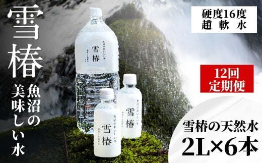 【 定期便 12ヶ月 】 水 ( 2L × 6本 ) × 12回 雪椿の天然水 津南 国産 | 天然水 みず 飲料 飲料水 ミネラルウォーター 軟水 備蓄 備蓄水 防災 新潟県 津南町新潟県津南町85000お茶・飲料水・ミネラ