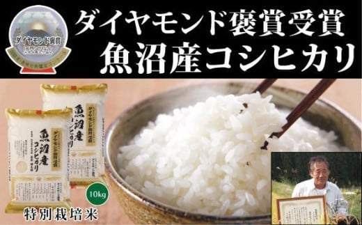 米 10kg ( 5kg × 2袋 ) 令和7年産 新米 最高級 魚沼産 コシヒカリ 特別栽培米 ダイヤモンド褒賞受賞 | こしひかり お米 おこめ こめ コメ 白米 精米 新潟県 津南町新潟県津南町48000米・パン白米