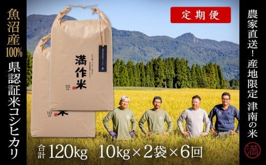 【 定期便 6ヶ月 】 米 20kg ( 10kg × 2袋 ) × 6回 令和7年産 新米 魚沼産 コシヒカリ 特別栽培米 県認証 | BLコシヒカリ お米 おこめ 白米 精米 新潟県 津南町新潟県津南町526000米・パン白米