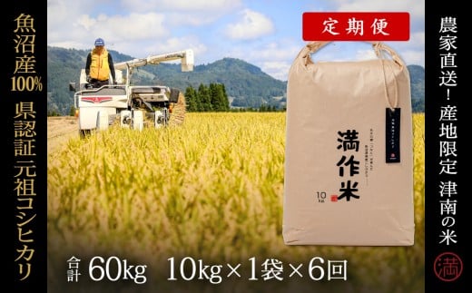 【 定期便 6ヶ月 】 米 10kg × 6回 令和7年産 新米 魚沼産 コシヒカリ 県認証米 満作米 | ブランド米 お米 おこめ こめ コメ 白米 精米 おすすめ 人気 新潟県 津南町新潟県津南町330000米・パン白
