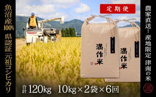 【 定期便 6ヶ月 】 米 20kg ( 10kg × 2袋 ) × 6回 令和7年産 新米 魚沼産 コシヒカリ 県認証米 満作米 | ブランド米 お米 おこめ 白米 精米 新潟県 津南町新潟県津南町639000米・パン白米