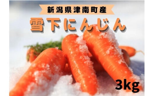 【令和8年産 先行予約】【季節限定】雪国ならではの逸品!雪下にんじん 3kg | 人参 にんじん ニンジン キャロット雪下人参 野菜 人気 おすすめ お取り寄せ 取り寄せ 新潟県 津南町新潟県津