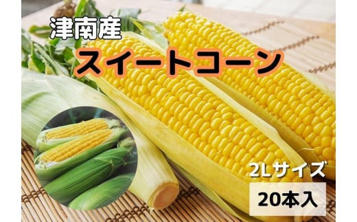 【令和8年産 先行予約】 朝採り とうもろこし 2Lサイズ × 20本 ( 1本約400g )  スイートコーン 津南町産 | トウモロコシ コーン とうきび 甘い 野菜 人気 おすすめ 新潟県 津南町新潟県津南町25000