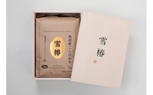 【2025年産新米】【木箱入り】最高級魚沼産コシヒカリ「雪椿」5kg (5kg×1袋)  特別栽培米新潟県津南町44000米・パン白米