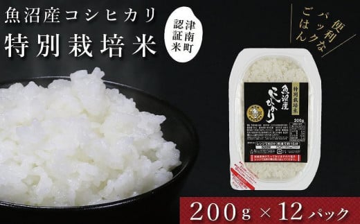 パックご飯 200g× 12袋 令和7年産 新米 魚沼産 コシヒカリ 特別栽培米 | パックライス 白飯 こしひかり 米 こめ お米 おこめ ご飯 ごはん おすすめ 人気 コスパ 新潟県 津南町新潟県津南町21000