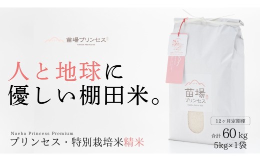 【 定期便 12ヶ月 】 米 5kg × 12回 令和7年産 新米 魚沼産 コシヒカリ 苗場プリンセス 特別栽培米 | ブランド米 お米 白米 精米 農薬化学肥料5割減 新潟県 津南町新潟県津南町245000米・パン白米