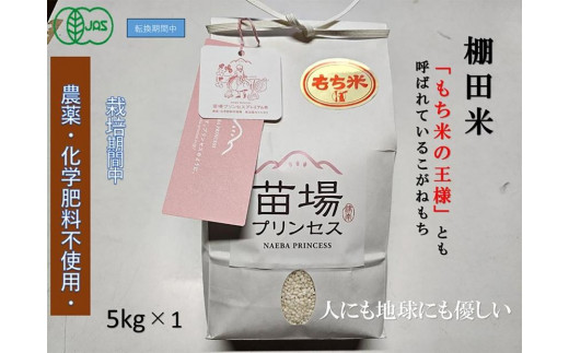 もち米 5kg 魚沼産 こがねもち 苗場プリンセス 有機JAS認証米 | 精米 コガネモチ 餅米 モチ米 ブランド米 おすすめ 人気 ギフト プレゼント 新潟県 津南町新潟県津南町31000米・パン玄米・雑穀