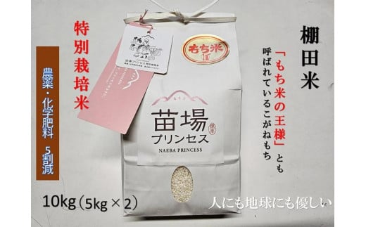 もち米 10kg ( 5kg × 2袋 ) 魚沼産 こがねもち 苗場プリンセス 特別栽培米 | 精米 コガネモチ 餅米 モチ米 農薬化学肥料5割減 ブランド米 おすすめ 人気 新潟県 津南町新潟県津南町41000米・パン