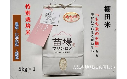 もち米 5kg 魚沼産 こがねもち 苗場プリンセス 特別栽培米 | 精米 コガネモチ 餅米 モチ米 農薬化学肥料5割減 ブランド米 おすすめ 人気 ギフト プレゼント 新潟県 津南町新潟県津南町21000米