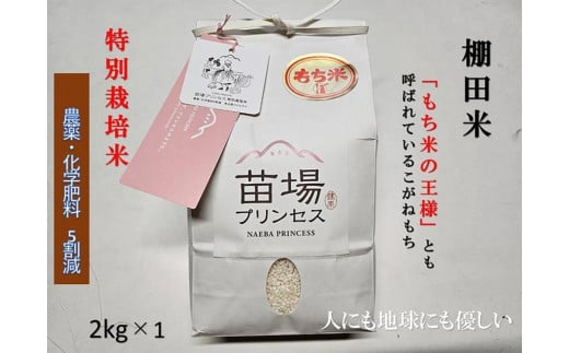 もち米 2kg 魚沼産 こがねもち 苗場プリンセス 特別栽培米 | 精米 コガネモチ 餅米 モチ米 農薬化学肥料5割減 ブランド米 おすすめ 人気 ギフト プレゼント 新潟県 津南町新潟県津南町11000米