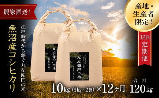 【 定期便 12ヶ月 】 米 10kg ( 5kg × 2袋 ) × 12回 令和7年産 新米 魚沼産 コシヒカリ 九左衛門の米 農家直送 | 白米 精米 こしひかり お米 おこめ 新潟県 津南町新潟県津南町490000米・パン白米
