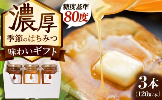 ZI G߂݂̂͂ 킢Mtg 120g×3{ Qs / x{I ܂ I Y [AZCF002]򕌌Qs16000ZbgE؁EHHiWE݂͂