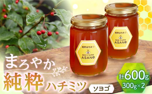 n`~c \S 300g×2 Qs / honey shop Bee farm asano I ݂͂ [AZBT010]򕌌Qs14000ZbgE؁EHHiWE݂͂
