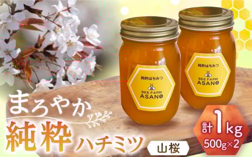 n`~c R 500g×2 Qs / honey shop Bee farm asano I ݂͂ [AZBT009]򕌌Qs20000ZbgE؁EHHiWE݂͂
