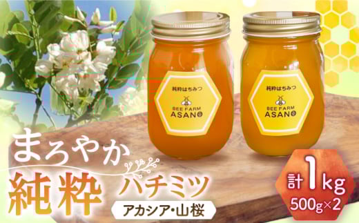 n`~c 2Zbg (AJVA500g×1 R500g×1) Qs / honey shop Bee farm asano I ݂͂ [AZBT013]򕌌Qs19000ZbgE؁EHHiWE݂͂