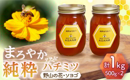 n`~c 2Zbg (R̉500g×1 \S500g×1) Qs / honey shop Bee farm asano I ݂͂ [AZBT014]򕌌Qs19000ZbgE؁EHHiWE݂͂