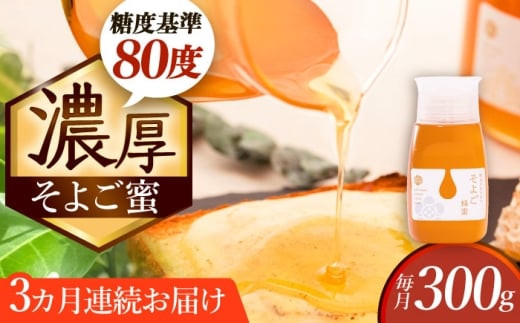 y3ցz ̂悲 300g Qs / x{I ݂͂ I Y [AZCF010]򕌌Qs32000ZbgE؁EHHiWE݂͂