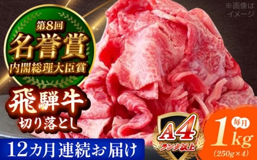 y12ցz ˋ ؂藎Ƃ 1kg (250g×4) Qs / ̂Ђ [AZDE020]򕌌Qs264000