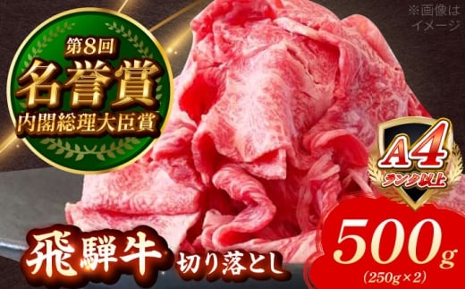 ˋ ؂藎Ƃ 500g (250g×2) Qs / ̂Ђ [AZDE001]򕌌Qs11000