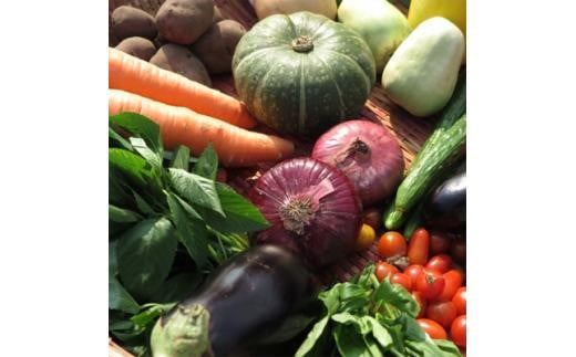 三重県鈴鹿市産 旬の野菜セット 大満足10種類三重県鈴鹿市15000野菜・きのこその他 野菜