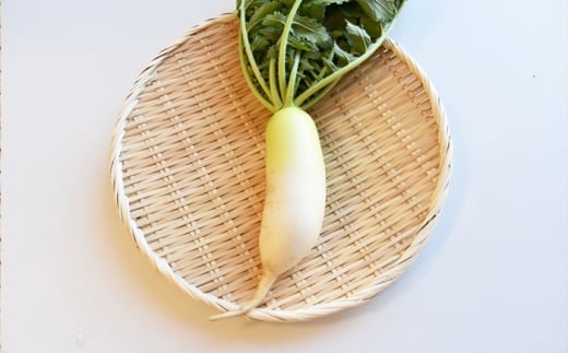 y2025N11菇za炬_@@قց@卪 Is / Ё@_P [BIBM013]ꌧIs14000؁Ê卪EjWEؗ