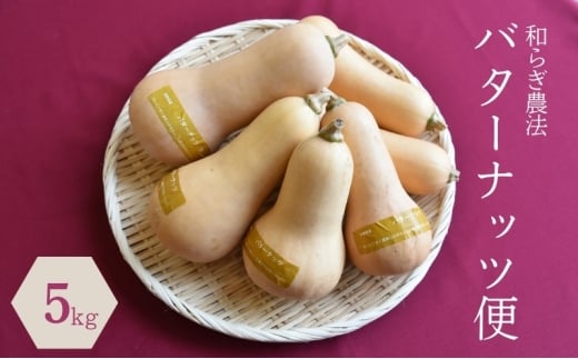 y2025N9{菇za炬_@@o^[ibcցi5kgj Is / Ё@_P [BIBM015]ꌧIs23000؁Ê̑ 