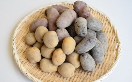 【先行予約:2026年6月頃より順次発送】和らぎ農法 春じゃが便 2.5kg (栽培期間中、農薬・化学肥料・動物性堆肥不使用)/ じゃがいも 食べ比べ 詰め合わせ セット 新鮮 野菜 / 滋賀県 栗東市