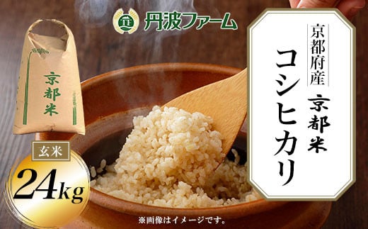 <令和6年産新米>京都府産コシヒカリ 玄米24kg  ふるさと納税 玄米 こめ コシヒカリ こしひかり 24kg 京都府 福知山市京都府福知山市40000米・パン玄米・雑穀米・もち米・餅