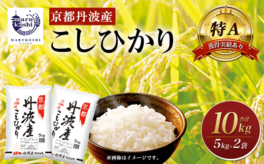 <特A獲得実績あり>京都丹波産 こしひかり 5kg×2 計10kg  ふるさと納税 米 こしひかり コシヒカリ こめ 10kg 京都府 福知山市京都府福知山市16000米・パン白米