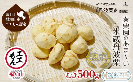 【先行予約11月上旬発送】秦栗園のあま〜い氷蔵丹波栗 筑波2L むき500g【第1回福知山市ええもん認定】【熟成】 大粒 ふるさと納税 栗 くり 人気 和 スイーツ 高級 和菓子 栗菓子 ギフト プレ