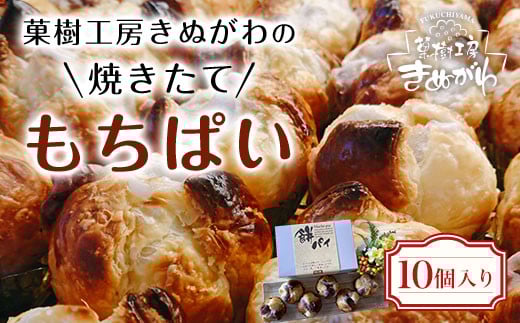 菓樹工房きぬがわの焼きたてもちぱい10個  ふるさと納税 人気  パイ包み パイ 餅 もち あんこ あずき 新感覚 みやげ お土産 ご褒美 お持たせ 京都府 福知山市 京都 福知山  ※沖縄・離島は