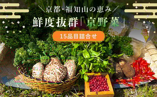 京野菜15品目詰合せ  ふるさと納税 新鮮 鮮度抜群 京野菜 野菜 京都府 福知山市 京都 福知山 ふるさと 奥京都京都府福知山市19000野菜・きのこその他 野菜