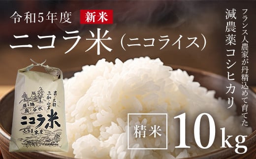 tXl_ƂO߂ĈĂ_RVqJ@RāiRCXjyߘaUNYVāz10kg ӂ邳Ɣ[ _RVqJ  R  ̐ ӂ  