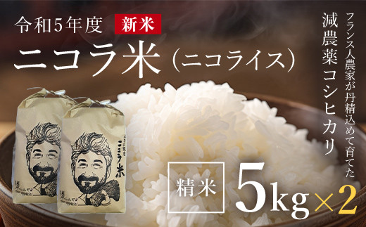 tXl_ƂO߂ĈĂ_RVqJ@RāiRCXjyߘaUNYVāz@5kg×2 ӂ邳Ɣ[ _RVqJ  R  ̐ ӂ 