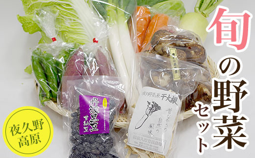 夜久野高原 旬の野菜セット(10品目程度)  ふるさと納税 夜久野高原 旬の野菜 季節の野菜 旬 新鮮 野菜 セット 詰め合わせ 手作り 京都府 福知山市 京都 福知山 奥京都京都府福知山市14000