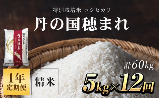 【1年定期便】特別栽培米 コシヒカリ 丹の国穂まれ 精米5kg×12回(60kg)  ふるさと納税 特別栽培米 コシヒカリ 米 精米 減農薬 有機肥料 京都府 福知山市京都府福知山市168000米・パン白米